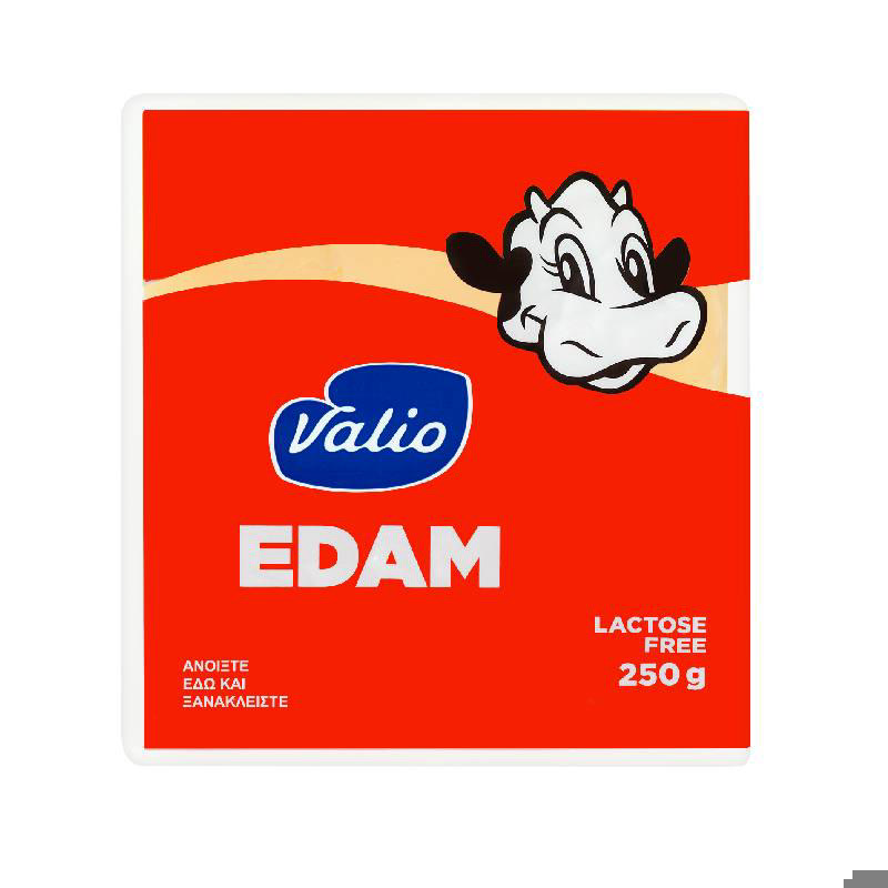 Tυρί Ένταμ 24% λιπαρά 250g